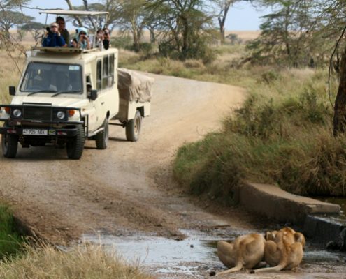Safari Experience- Explorer-Style-Mobile-Safris-Safari-Vehicle