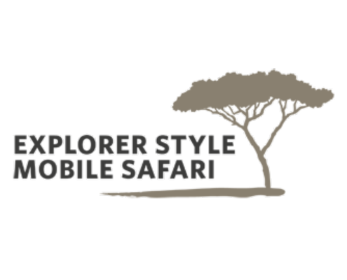 Explorer Style Mobile Safari