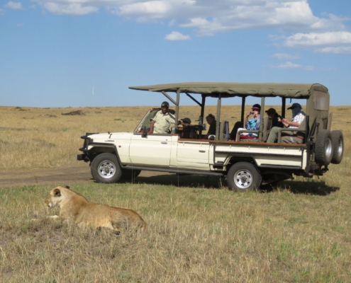 Fly-in-Safaris-Open-Vehicle